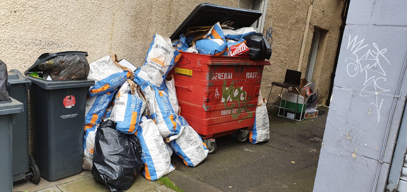 Rubbish Causing Rodent Activity