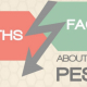 Myths & Facts about pests
