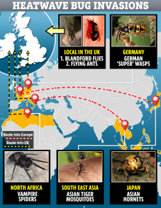 Infograph of ants and other pests during corona virus covid-19